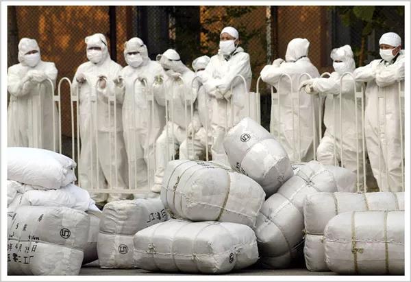 中国近一半鸭子的命运，都在这两个男人手里