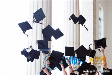 新西兰研究生留学手续流程,新西兰留学研究生申请