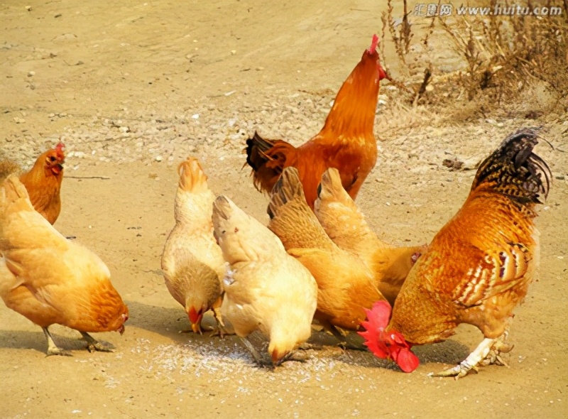 支气管部分堵塞最好的解决方法,支气管堵塞最好的解决方法