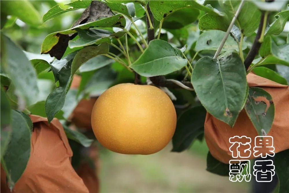 一位企业家的成功之路,企业家要有仰望星空的格局与胸襟