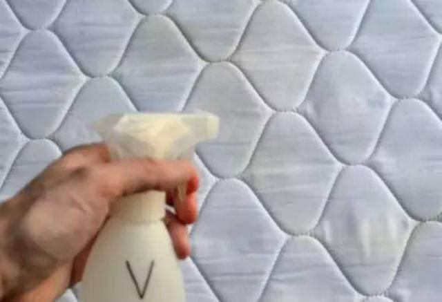 床垫用久了有虫怎么办,床垫螨虫怎么消除最快方法最有效