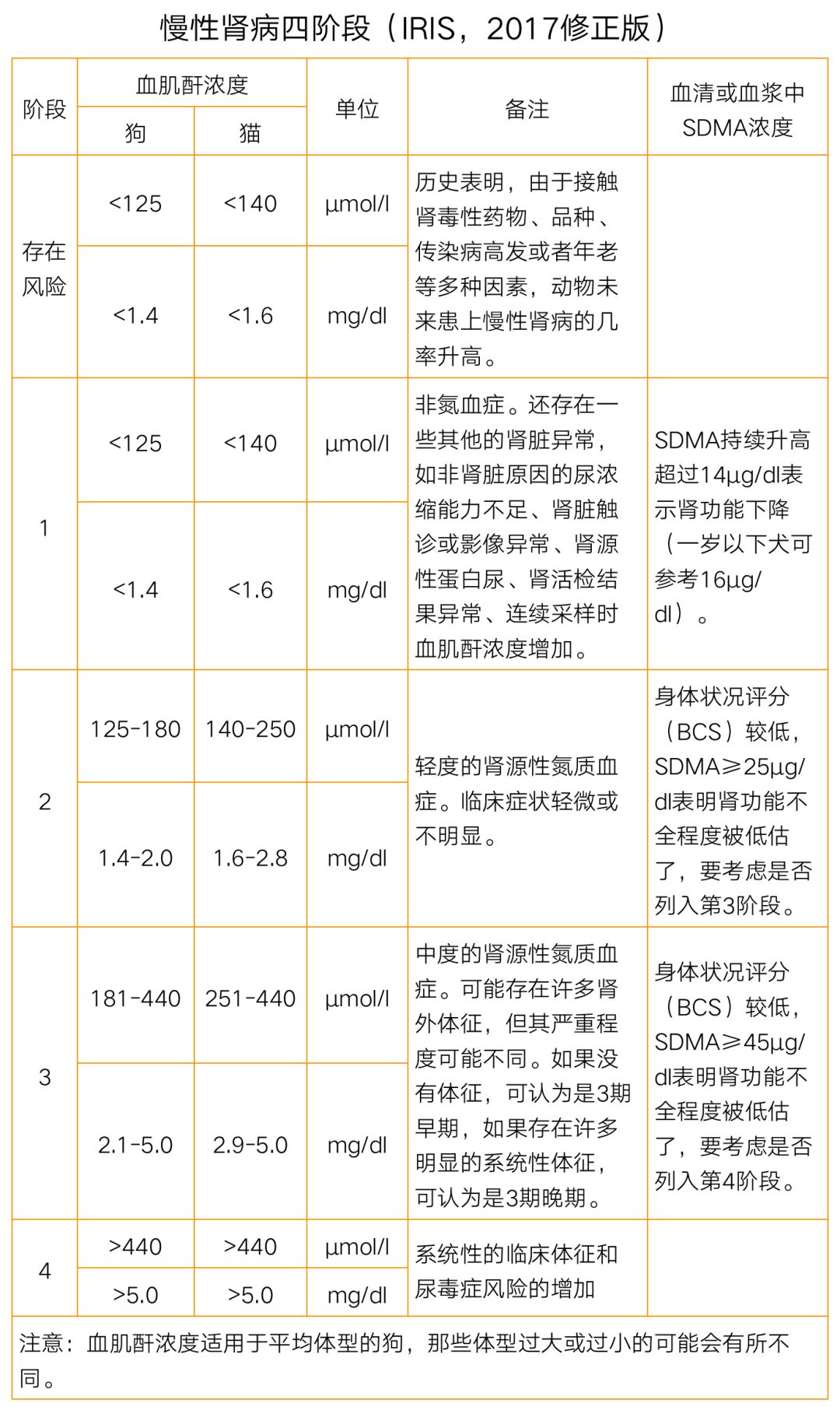 MYAO猫病特辑|慢性肾病