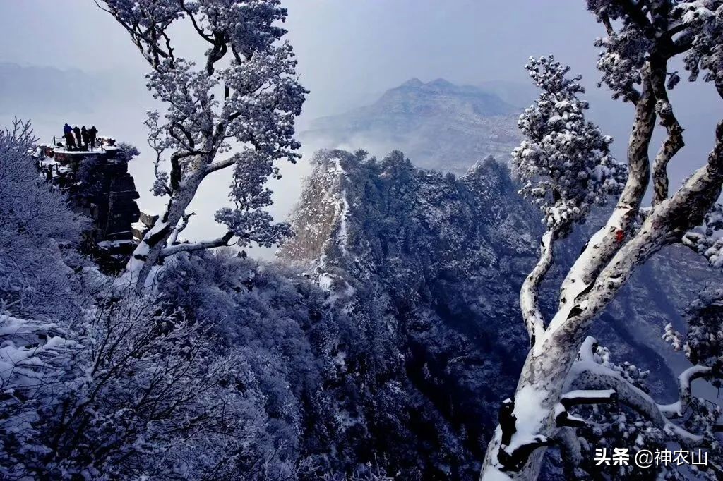 这就是生活第40集刘恺威,这就是街舞3