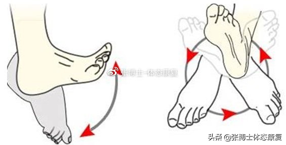 运动康复中的smart原则,运动损伤与运动康复pdf