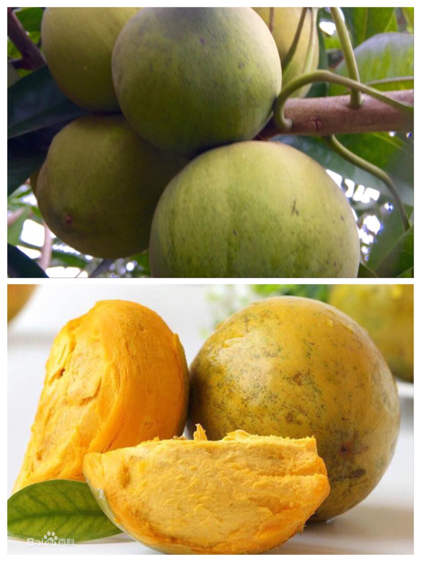 10大奇异水果你吃过几种,这五种奇葩罕见的水果你吃过几种