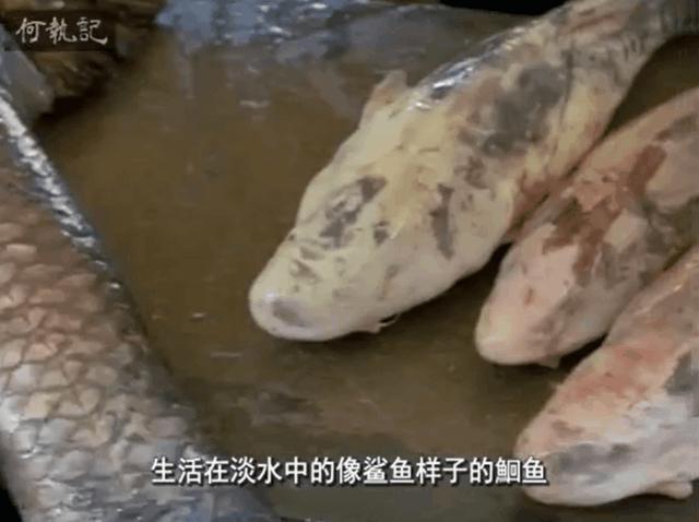 日本人35年前拍的中国美食纪录片，凭什么豆瓣9.2？