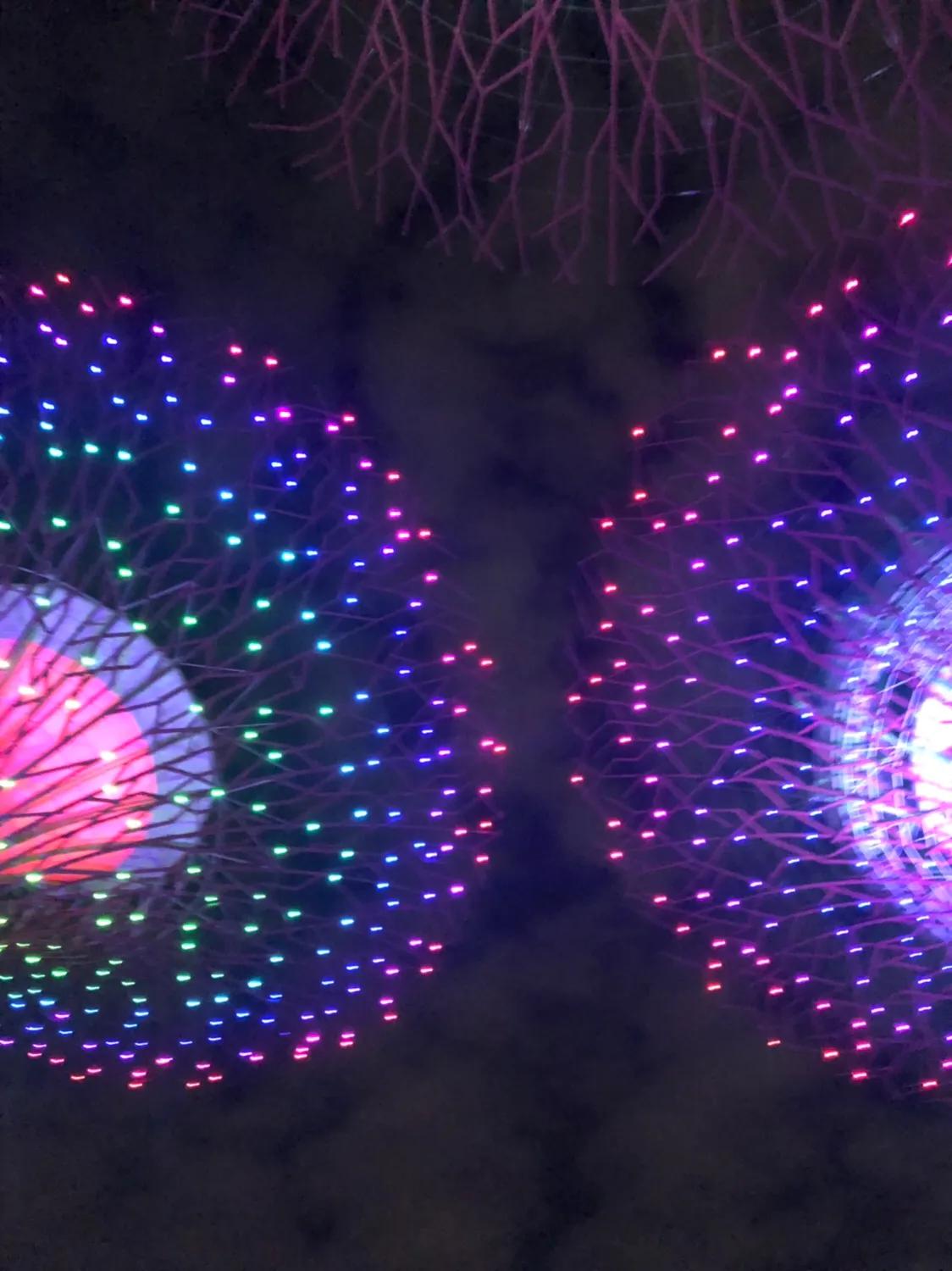 新加坡经典一日游,新加坡一日游必去景点