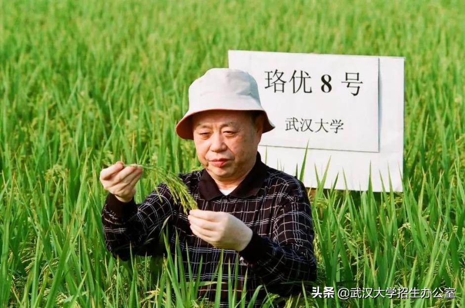 中国最美大学：坐拥26栋“全国重点*物文**保护单位”，走出上百位院士！