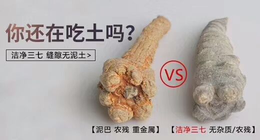 鉴别三七,最全三七鉴别法点进来终身受用