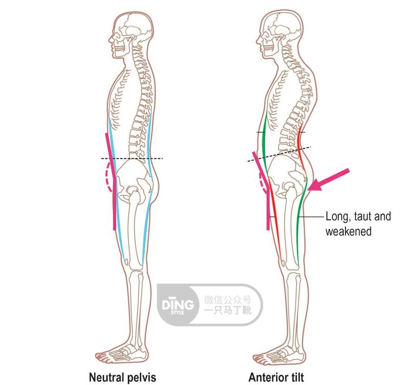 有效改善体态,提升气质减肥瘦全身方法