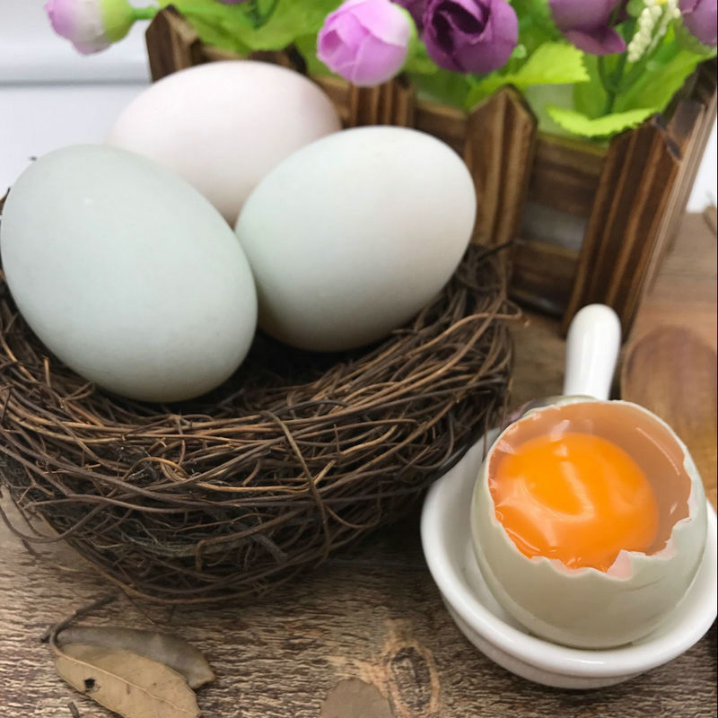 如果你在森林里遇见它你会怎么办,如果你在森林中遇见一头狼怎么办