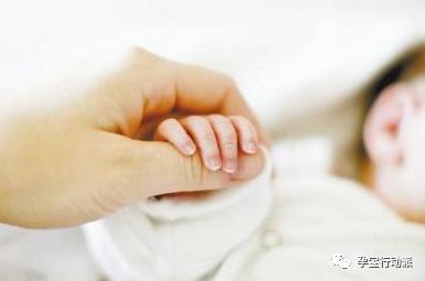 孕期指南第6周,孕期记录第38天