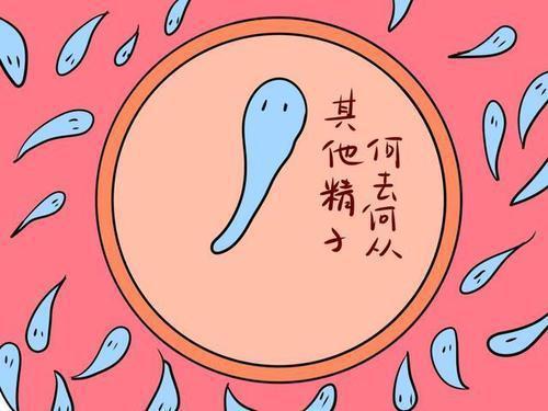 小蝌蚪不出来的时候去哪了,没出来的小蝌蚪去哪了