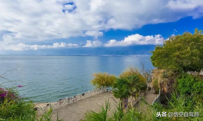 大理三塔景区春节是否免门票,大理州庆三塔免费