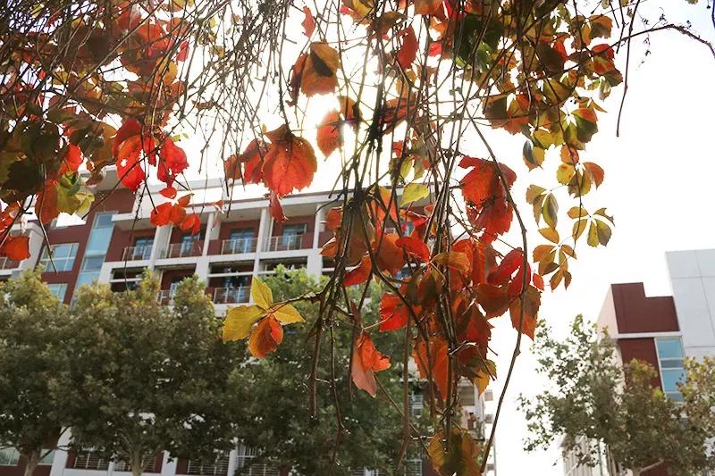 天津医科大学七所直属医院,天津医科大学独立学院是几本