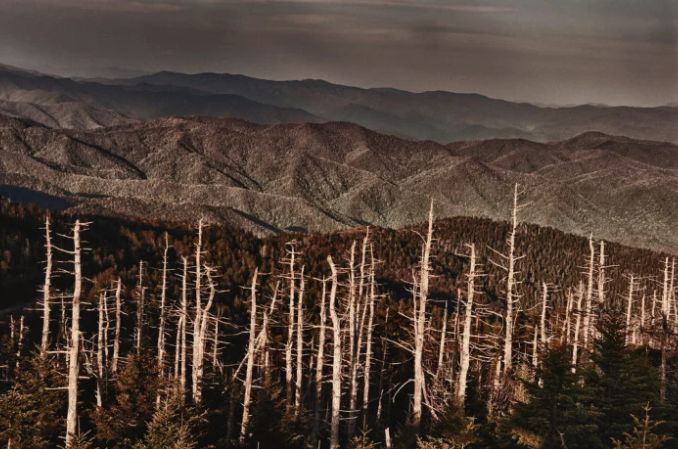 初三化学酸和碱基础知识背记清单,九年级下册化学酸和碱的中和反应