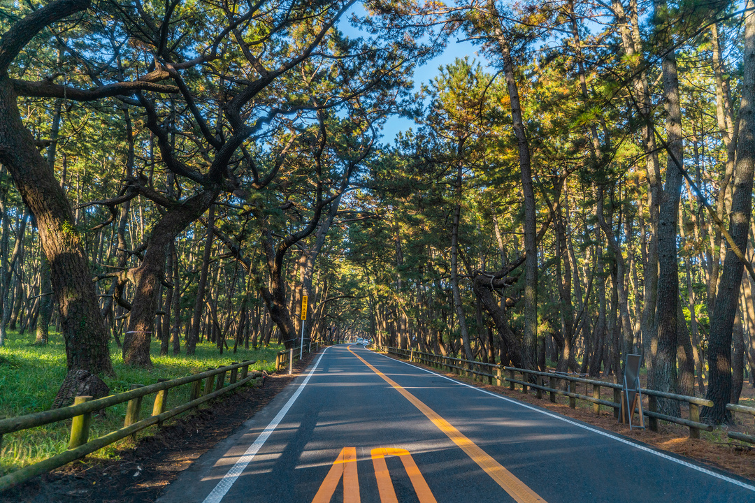 日本九州|一个被温泉唤醒的秘境，超超超小众的日本旅行目的地
