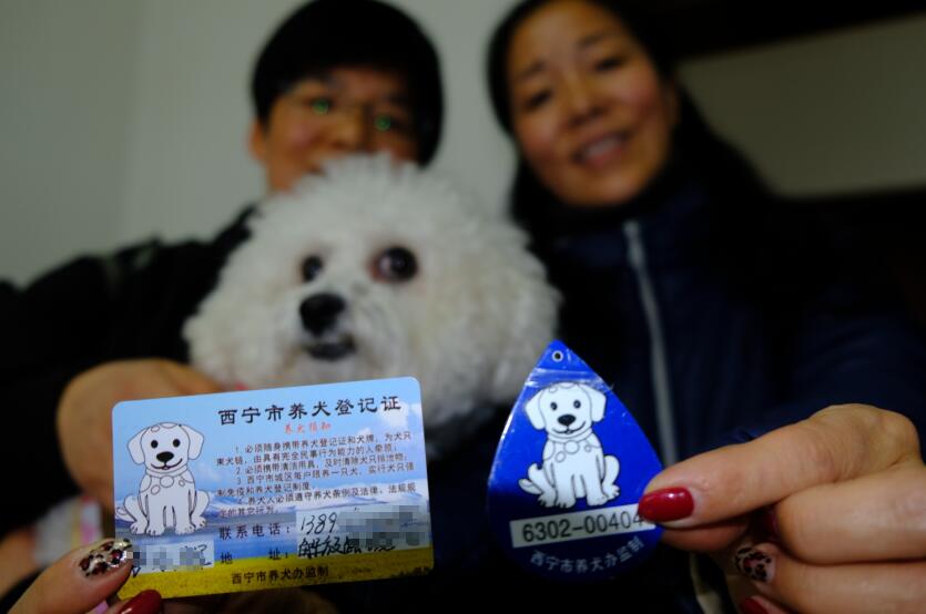 西宁城东区狗证怎么办理,狗狗有身份证视频