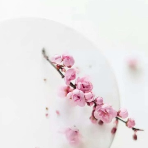 我爱你是个完整句子吗,我爱你三个字倒过来说