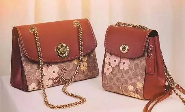 蔻驰迪士尼联名值得买吗,蔻驰迪士尼联名卫衣