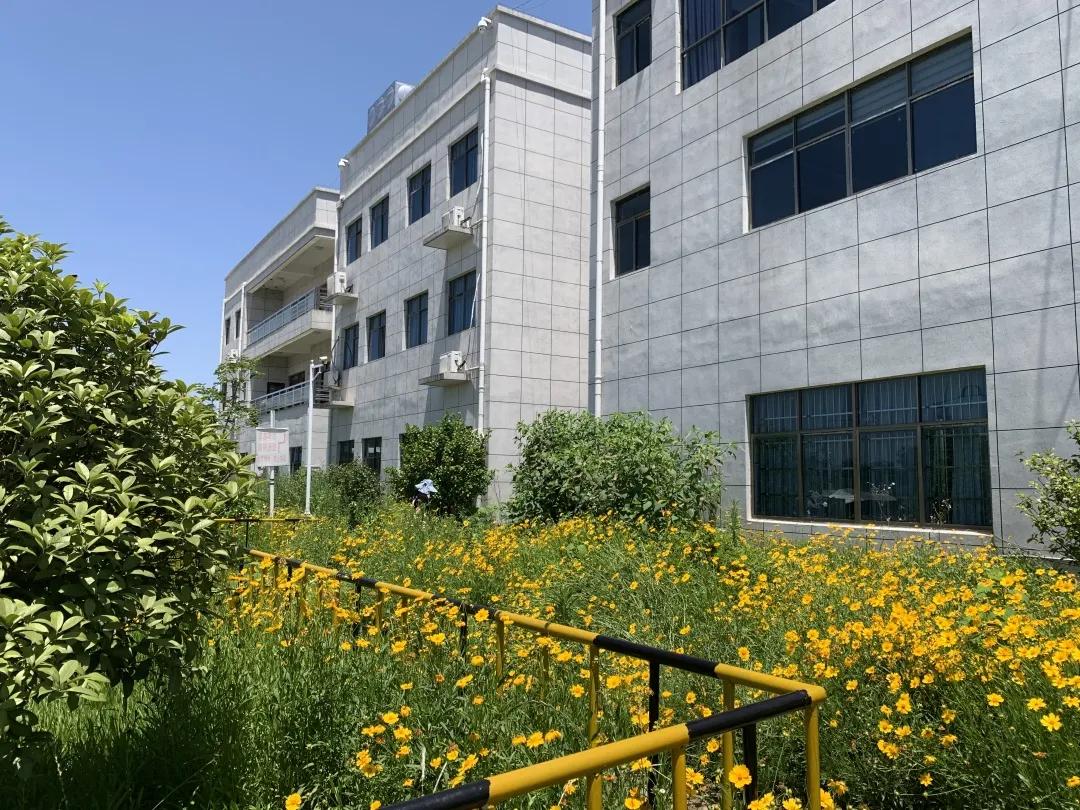 请查收!专属于成*学功**员的科目一备考全流程!快收藏