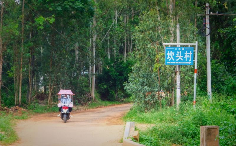 广东湛江旅游攻略赶海,湛江海边旅游攻略推荐地方