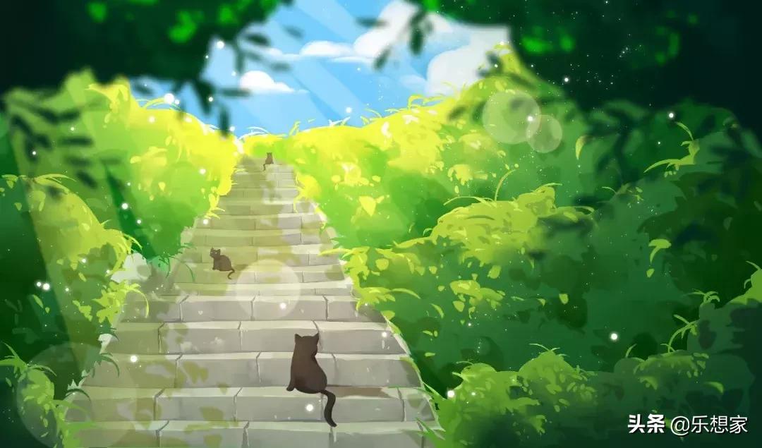 诗经中形容夏天的诗词,舂容大雅