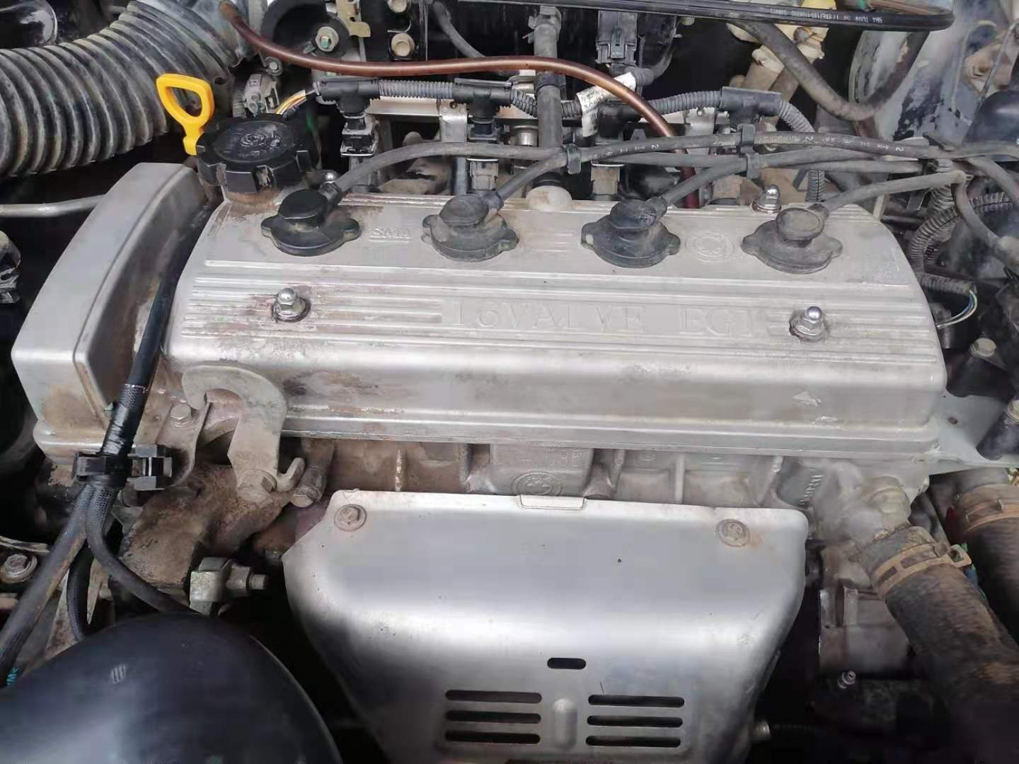 胖哥二手车最新视频,胖哥买二手车