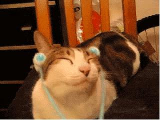 夏天好用香的身体乳,比香水还好用的东西