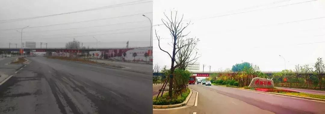 一篇文章搞懂全部文言文,管南神盘