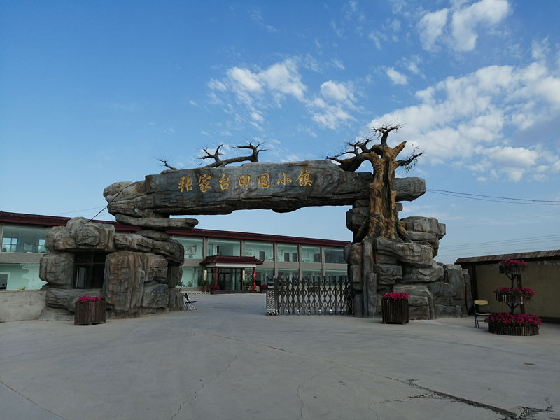 晨练路上感受田园气息,西固区河口镇张家台田园小镇