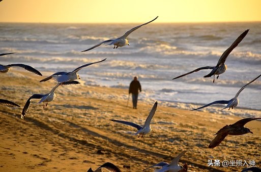 经典反思：黄帝神秘经文，汉朝人藏下宝贝，解密宇宙人生