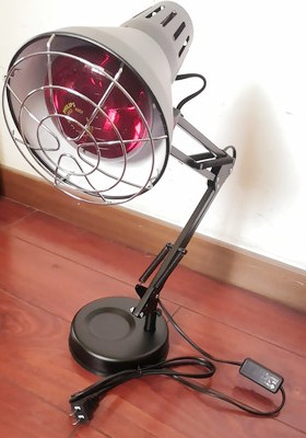 如果有轻微痔疮要怎么改善,得了痔疮不要怕食疗简单又方便