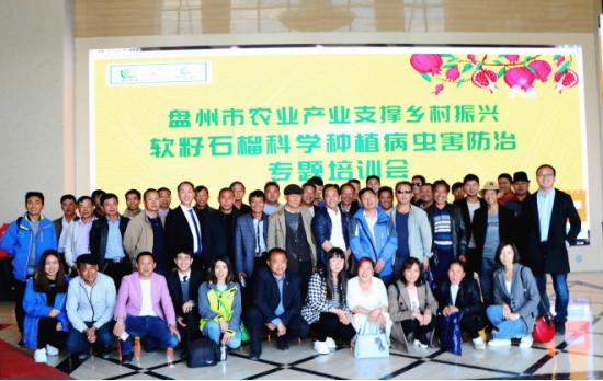 软籽石榴病虫害防治一览表,突尼斯软籽石榴病虫害防治