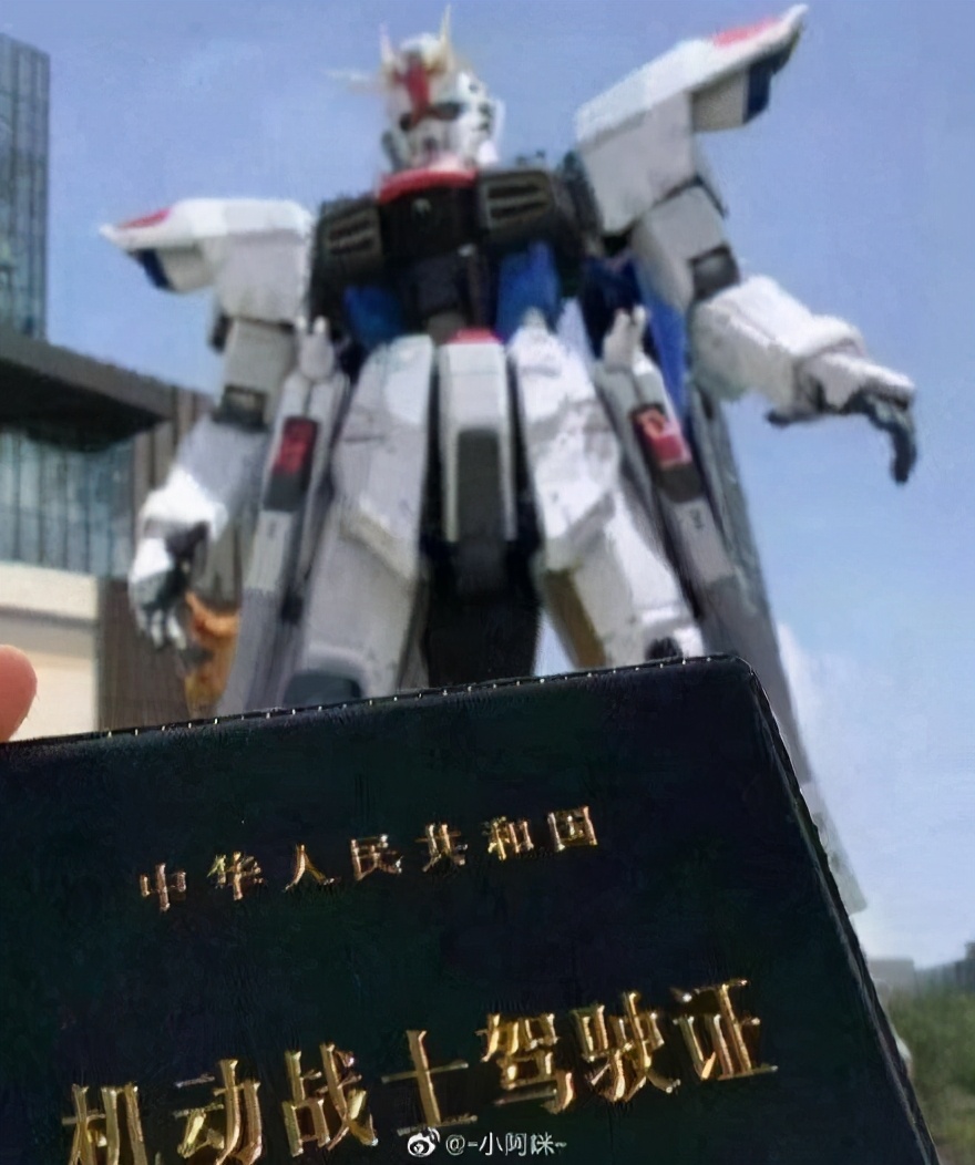 来上海，拜“南无五彩大炮福利蛋菩萨”｜从零开始的次元周刊