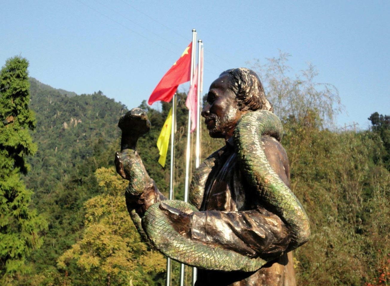 小青龙有多大150克,小青龙有多厉害