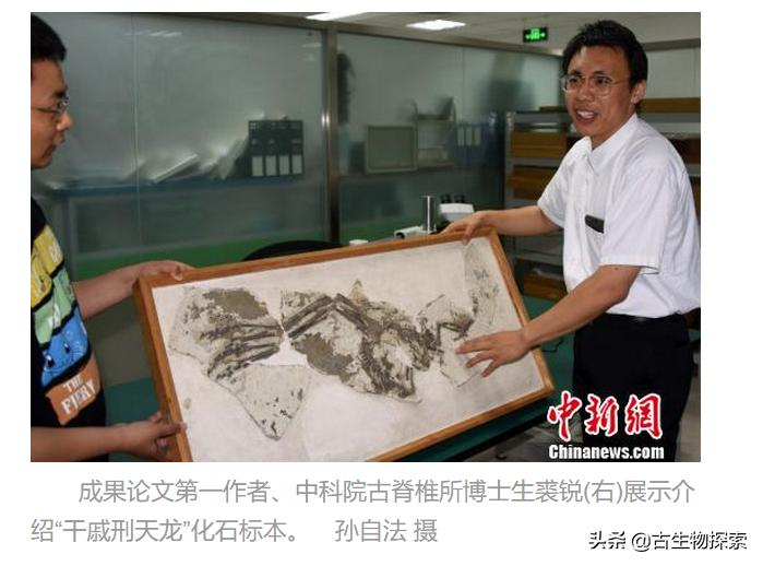 有羽毛和翅膀的恐龙叫什么恐龙,特厉害的恐龙是什么恐龙