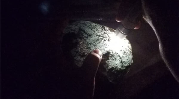 莫西沙赌石打灯皮壳表现,赌石翡翠莫西沙场口