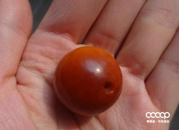 网上买的老蜡有真品吗,花了20万买了块假表