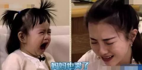 包文婧请保姆,包文婧家政