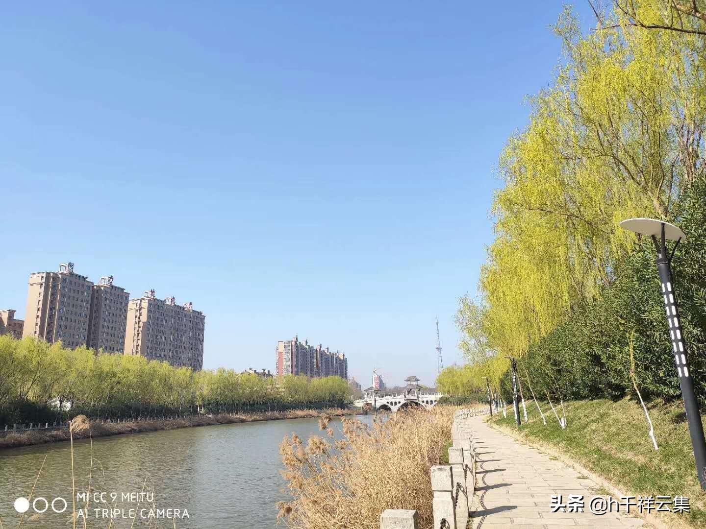 我的家乡商丘夏邑,夏邑又多一处美景有山有水还有花