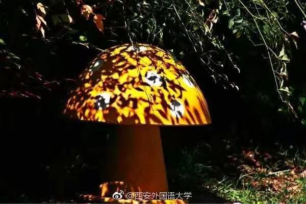 西安外国语大学原来叫什么,西安外国语大学是什么学校