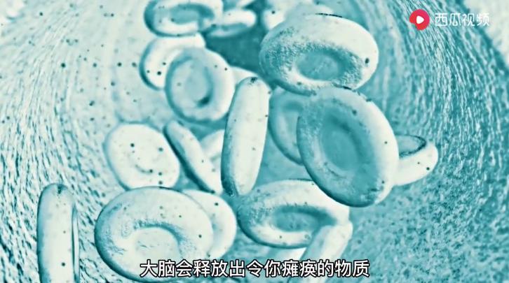 鬼压床的真正原因与处理方法,鬼压床是什么原因造成的怎么解决