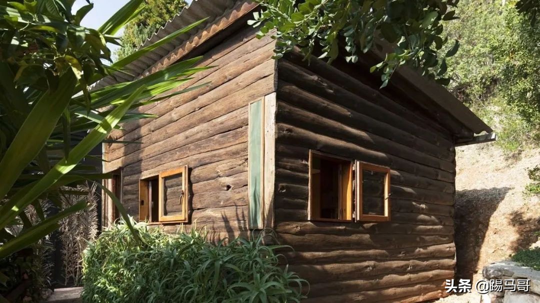 appletv出品的电影,appletv出品