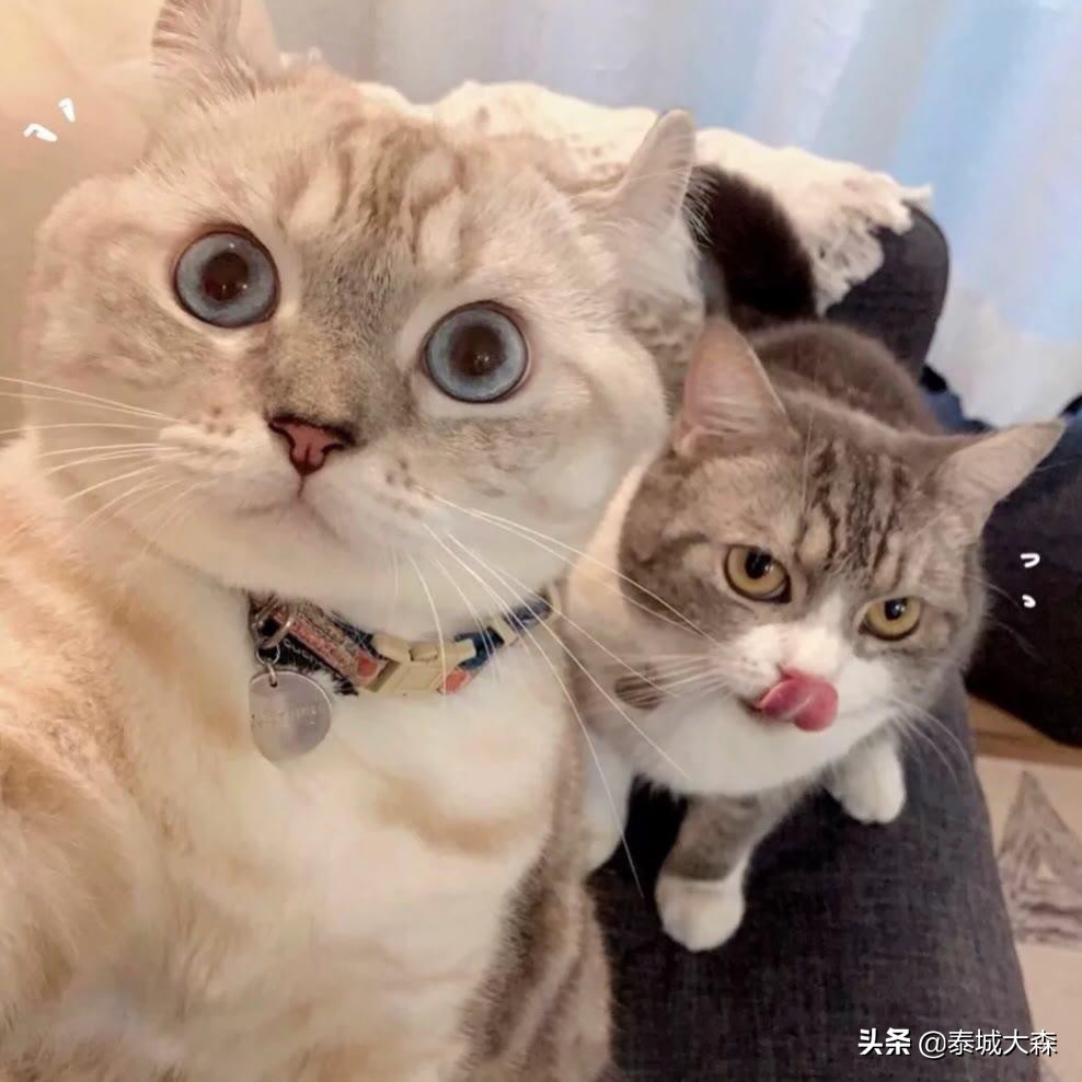 怎样提高法考刷题效率,如何刷题最快最有效率