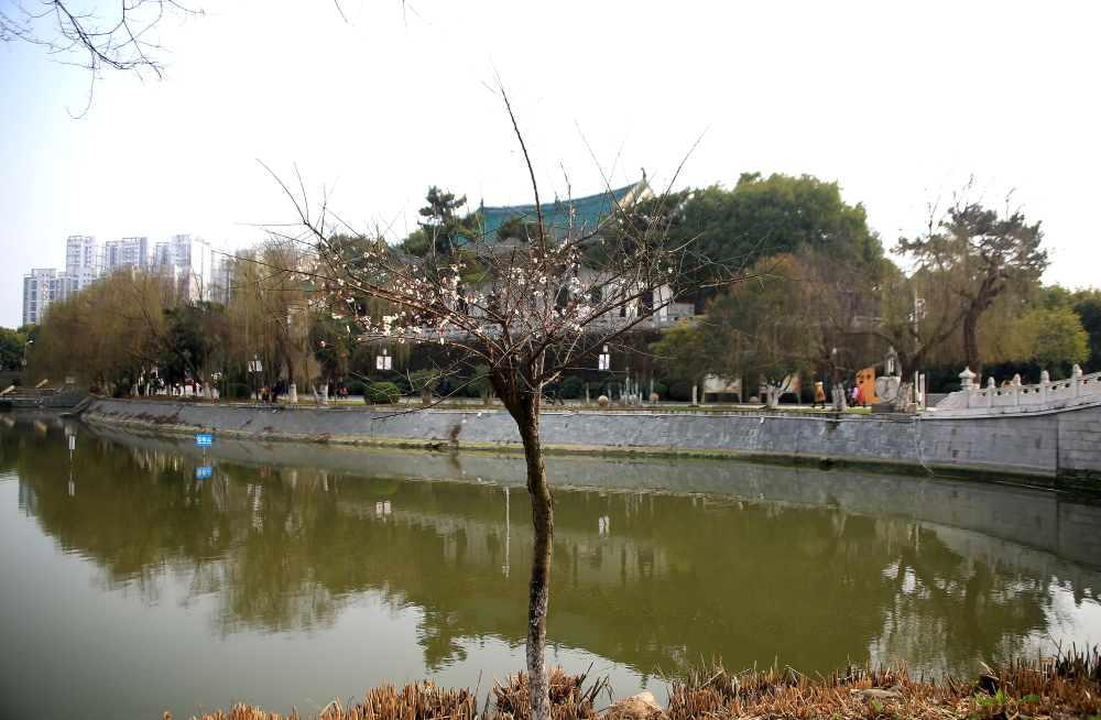 早春二月竖笛曲谱,早春二月笛子演奏