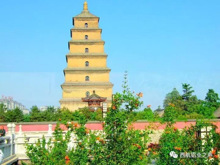 曲江半马景区,曲江半马最新比赛