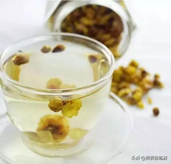 3月皖浙一号公路自驾攻略,浙皖一号公路周边自驾游