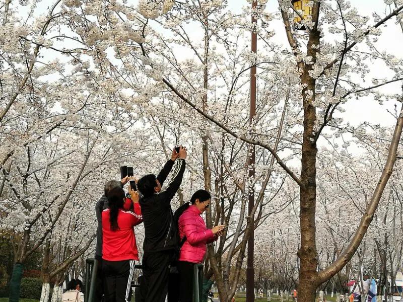 2022年世界手机摄影大赛征稿,手拍世界摄影网