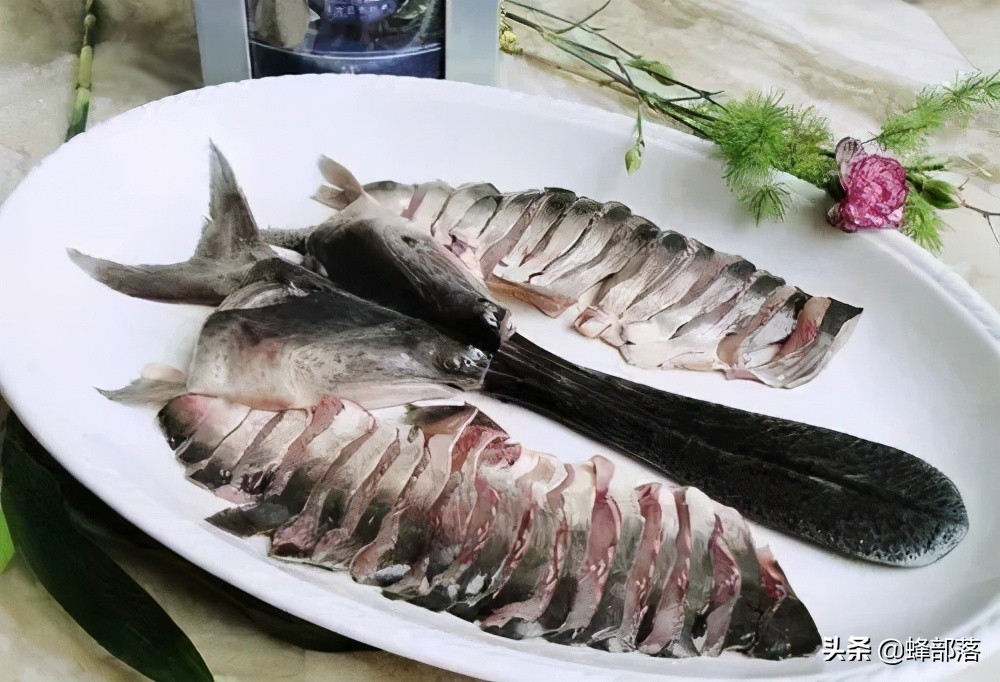 养殖什么小型鱼能赚钱,2021年鱼塘养殖什么鱼最赚钱呢